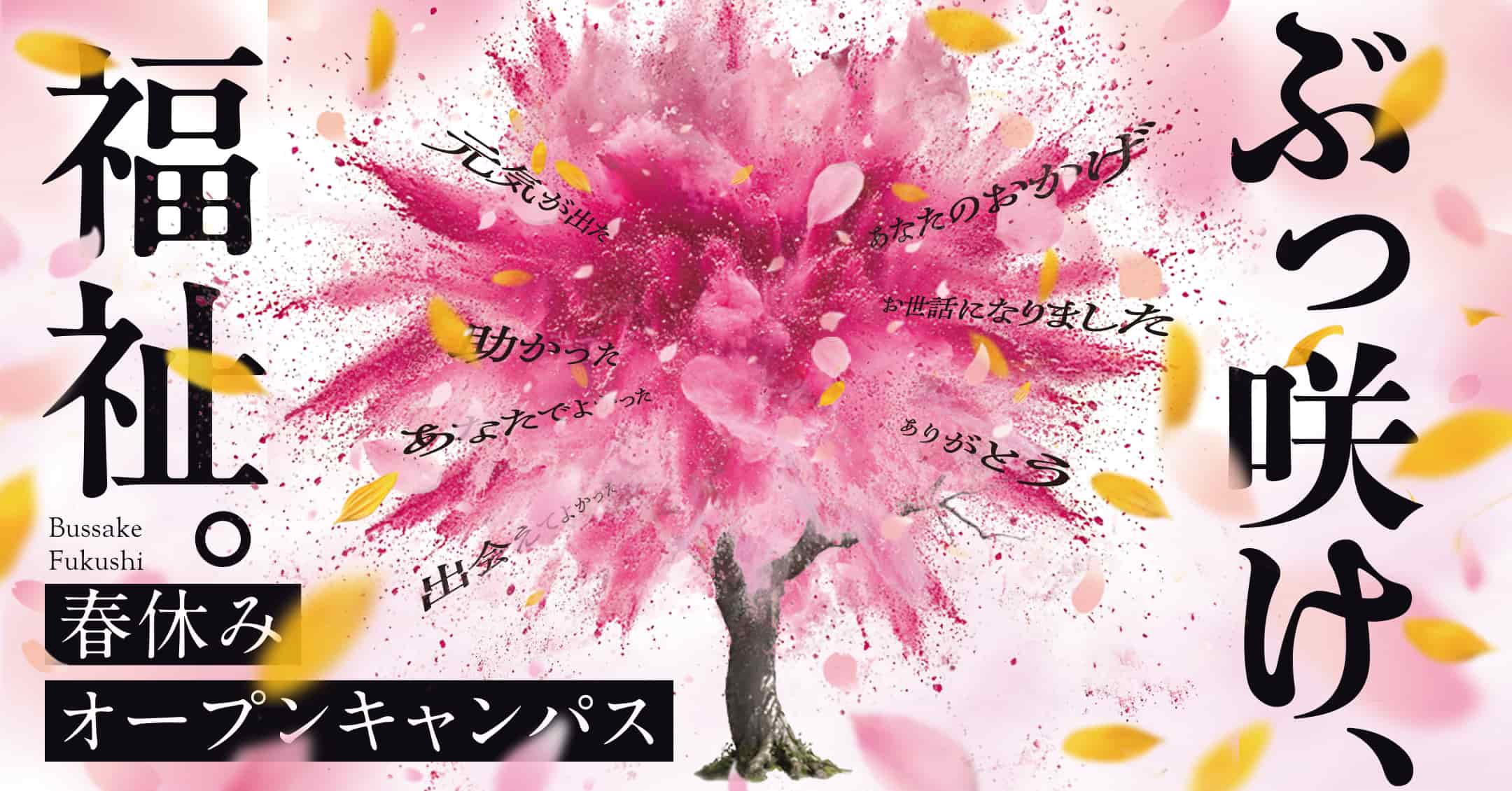 福祉の専門学校進学宣言！「専門学校で本当にいいの？」周りが大学進学ばかりだから言い出せなくて…そんな不安にお答えします！