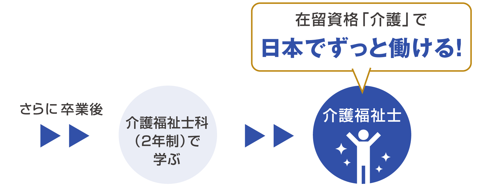 介護基本科とは